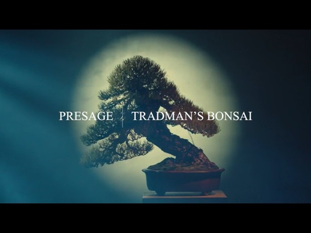 Seiko Posts a Film for the Presage Classic Series TRADMANS BONSAI Limited Edition